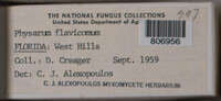 Image Associated With the Occurence